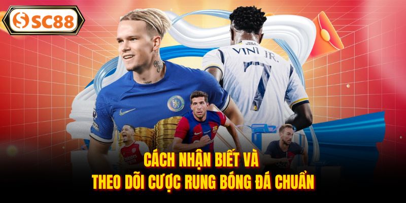 Cách nhận biết và theo dõi cược rung bóng đá chuẩn